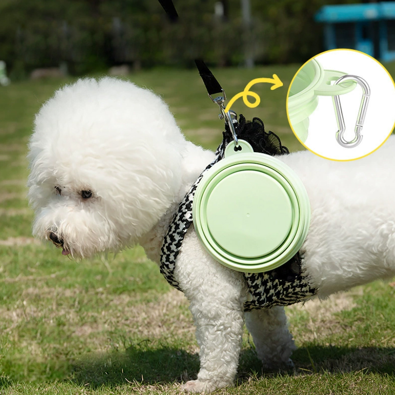 Color Pet Supplies Portable Fo - Wedding Water Supply のレビューと価格